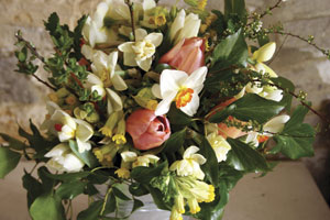 flower-farmers-year-blog-tulip-300w